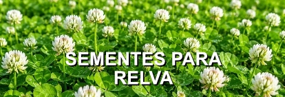 menu semillas puras alr