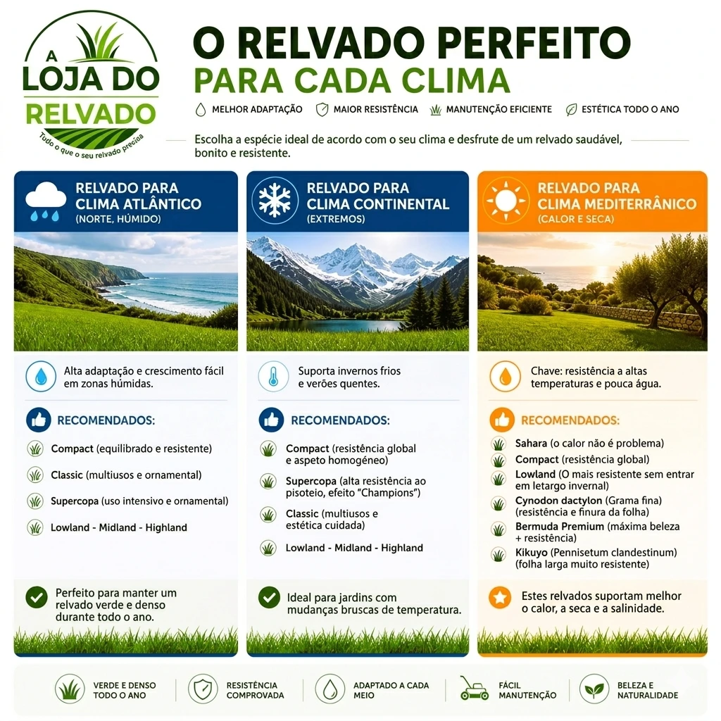 infografia climatologia cespedes