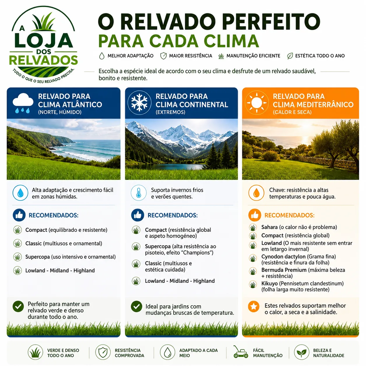 infografia climatologia cespedes