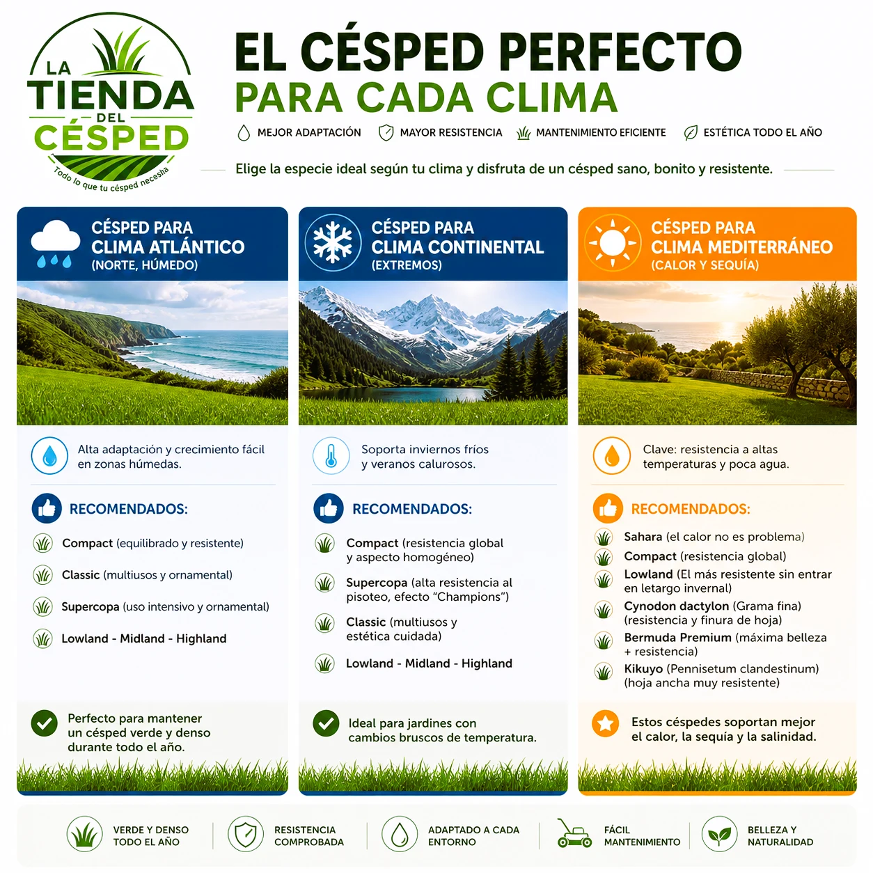 infografia climatologia cespedes