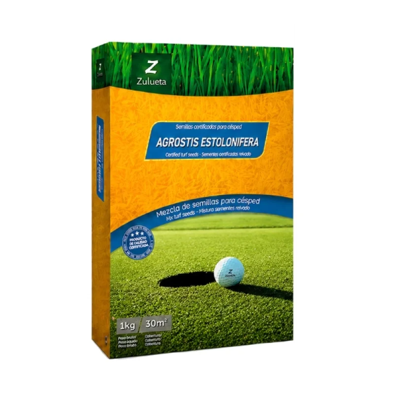 agrostis stolonifera 1kg
