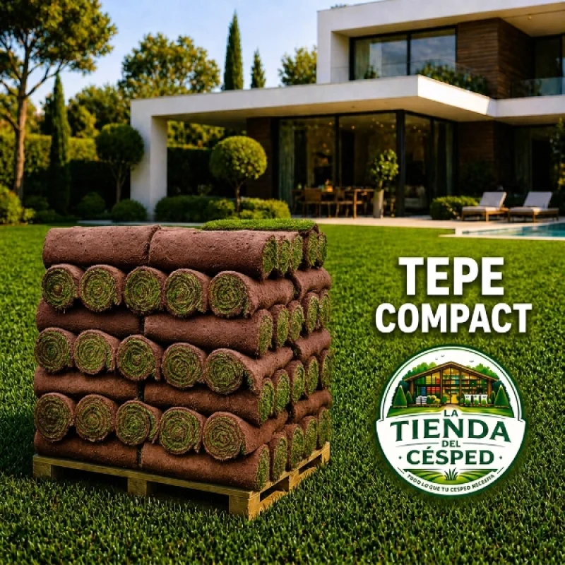 tepe compact