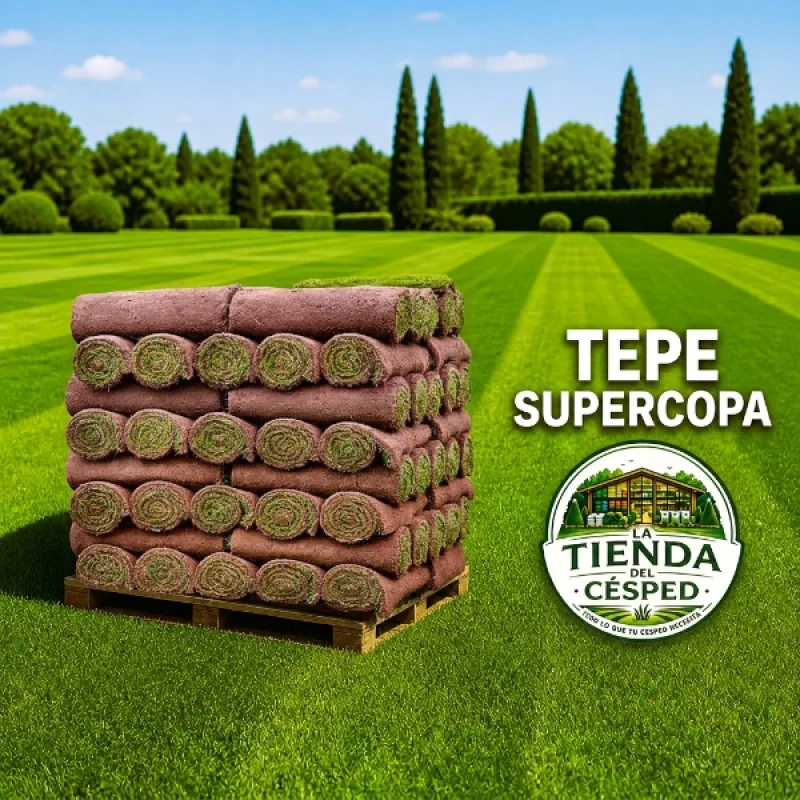 tepe supercopa